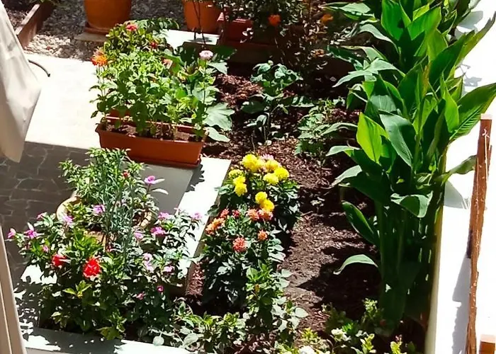 Charming Garden Rhodes City