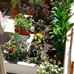Charming Garden Rhodes City