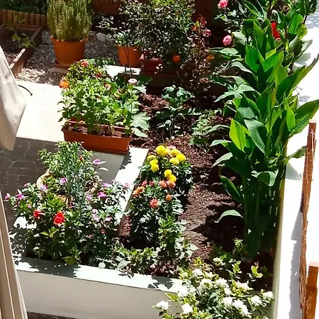 Charming Garden Родос