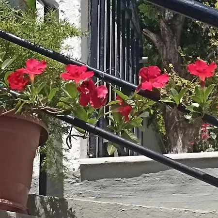 Charming Garden * Rhodes City
